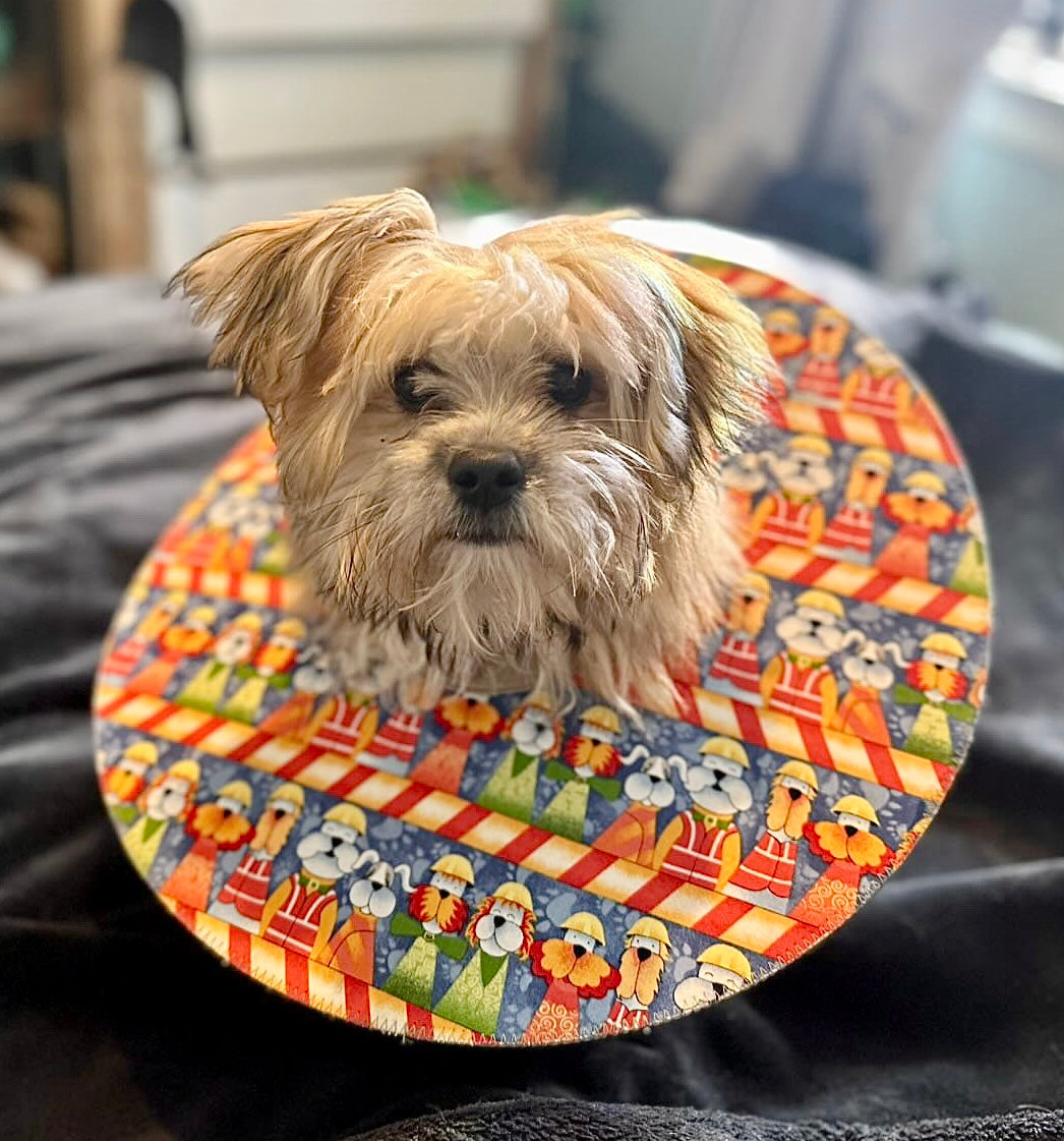 Mini Dog
