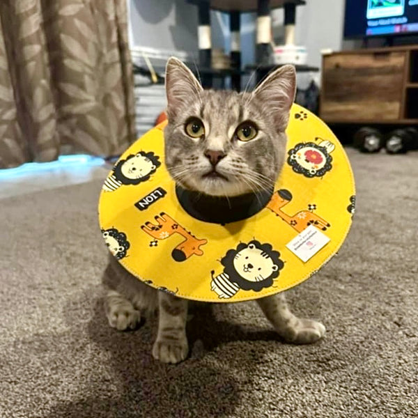 Add a caption