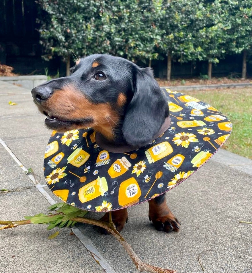 Mini Dog